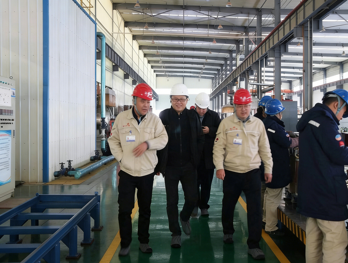 Г-н ма и делегация совместной компании чжунджи посетили нашу компанию.