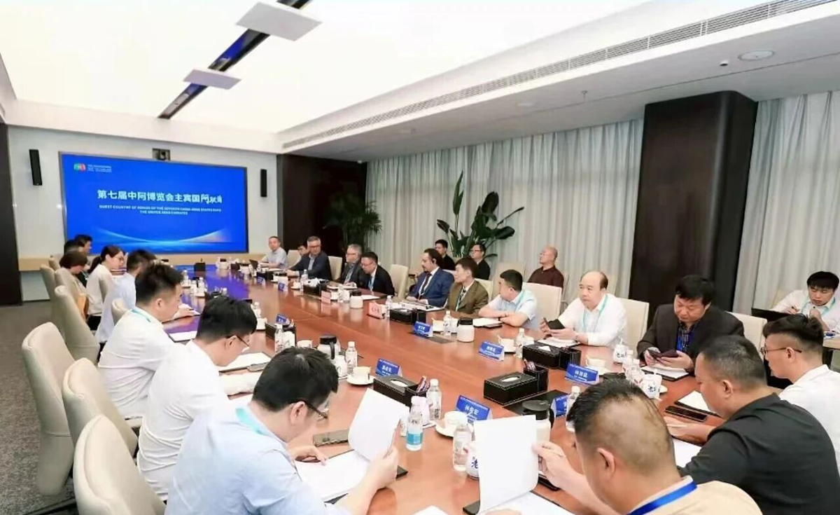 Participation in the China-Arab Conference on Promoting New Energy to Expand Overseas Markets